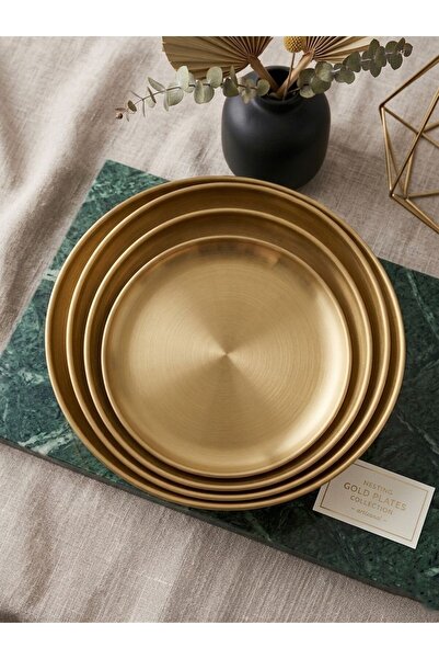 LUXURY Stylish and Modern Serving Dishes Steel Plate Set of 4 with Different ...