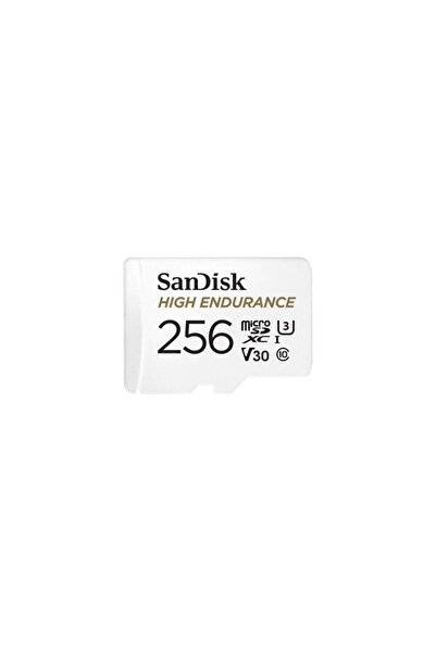 SanDisk Microsdxc 256Gb Cl10 U3