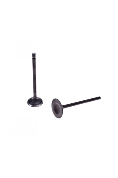 WMX Set 2 supape admisie evacuare Atv200 Loncin