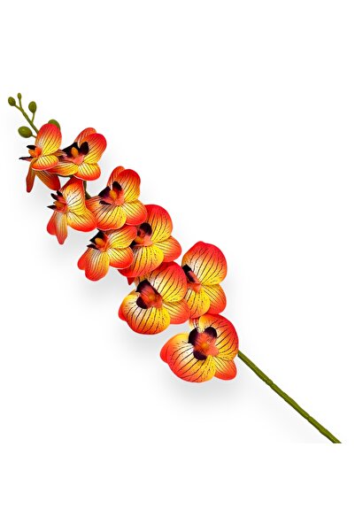 AFO Σύρμα σιλικόνης για ορχιδέα Δενδρόβιουμ κιτρινοπορτοκαλί