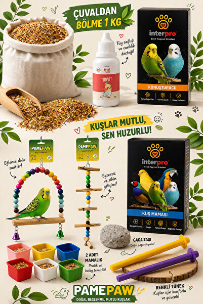 PAMEPAW Muhabbet Kuşu Yem Sağlık Ve Oyuncak Seti Yem Seti 11'li