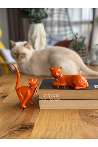 Orange 2-Piece Cat Trinket Set/Bookcase/ Coffee Table/Shelf Combination/Home-Office Decor/Decoration