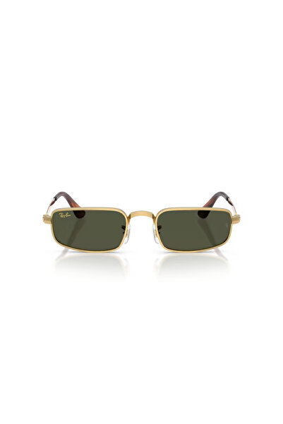 Ray-Ban 3927 001/31 54 Sunglasses