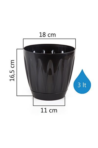 Alezy P003 Papatya Tabaklı Saksı 3 Litre 18 cm Siyah