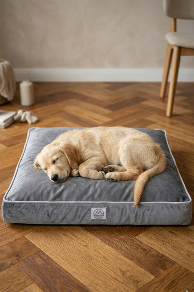 Jungolica Pet Products Silky Paw, Çıkarılabilir Kılıf, Kolay Temizlenebilen, ...