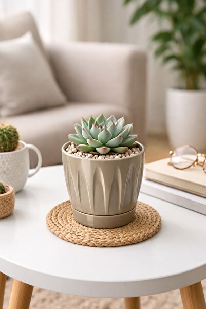 Alezy P001 Papatya Saksı 0.7 Litre 11,5 cm Mocha
