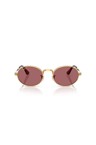 Ray-Ban 0RB3931 001/AF 54 Güneş Gözlüğü