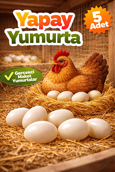 AN-GA AVM Plastik Tavuk Yumurtası 5 Adet Beyaz, Maket, Yapay Yumurta Standart...