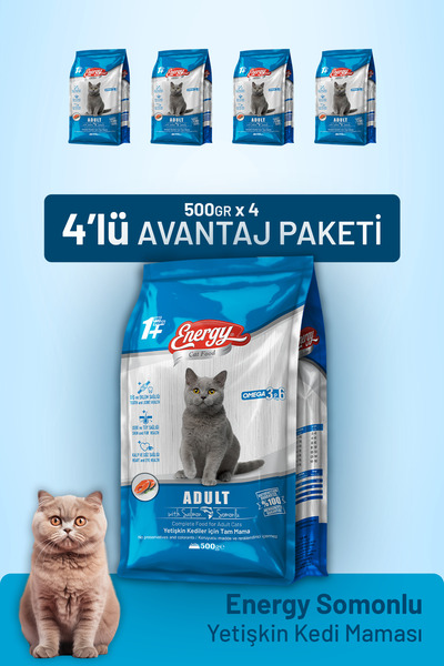 cat food energy Somonlu Yetişkin Kedi Maması 500 G - 4 Adet