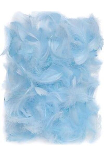 Other Pene albastre 5-12cm 10g