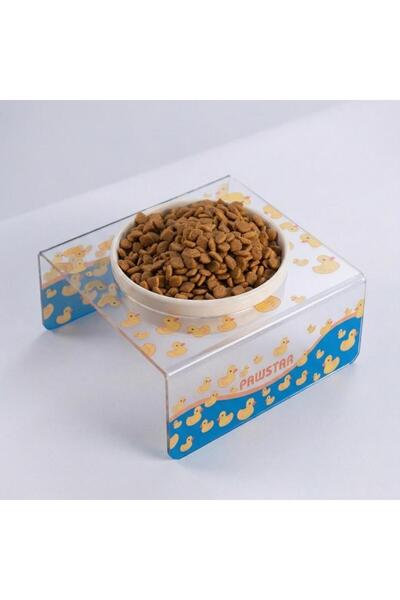 Pawstar Ducks Tekli Seramik-Pleksi Mama ve Su Kabı-Kedi Köpek Mama Su Kabı