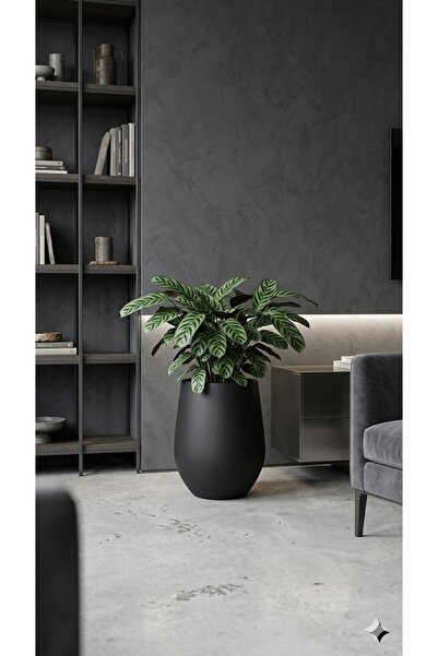 EFFE POT & DECORATİON Laura Model Dekoratif Fiberglass Saksı 26x40cm