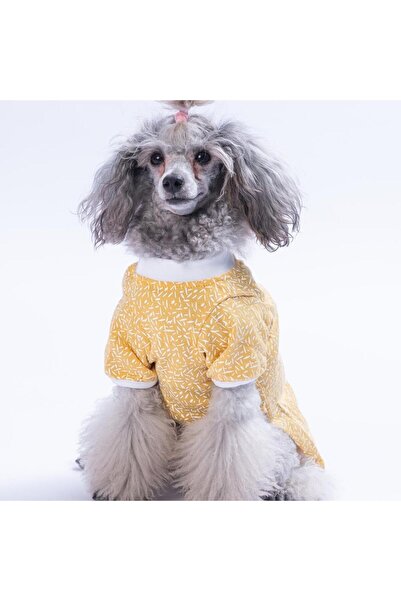 Pawstar Yellow-Sarı Basic Kedi Köpek Sweat- Kedi Köpek Kıyafeti