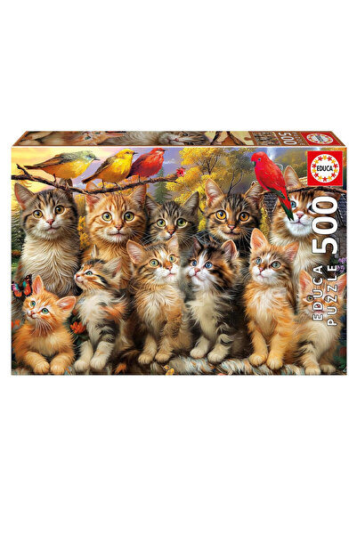 Educa Puzzle 500 Parça Yavru Kedi ve Kuş 20241