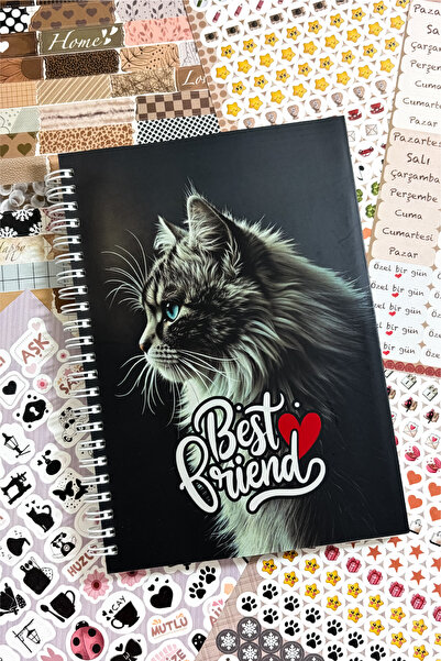 colortouch Καλύτερος Φίλος Ντέφτερ