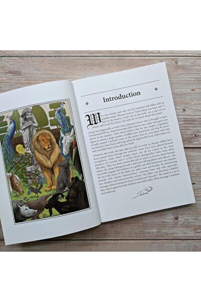 North Parade Publishing Aesop's Fables