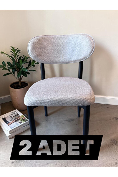 MSY HOME 2 Adet Jerry Kumaş Trendy Modern Sandalye Takımı