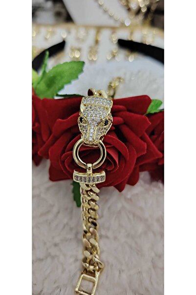 OEM ΒΡΑΧΙΟΛΙ ΜΕ ΚΕΦΑΛΙ ΙΑΓΟΥΑΡΟΥ, ΕΠΙΧΡΥΣΩΜΕΝΟ 14Κ ΑΝΟΞΕΙΔΩΤΟ ΑΤΣΑΛΙ