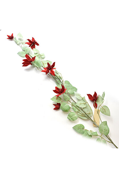 AFO Γιγάντιο κόκκινο κλαδί κλεμάτις