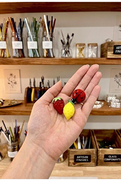 cammurano Cam Magnet Çilek Limon Uğurböceği 3lü Magnet Seti