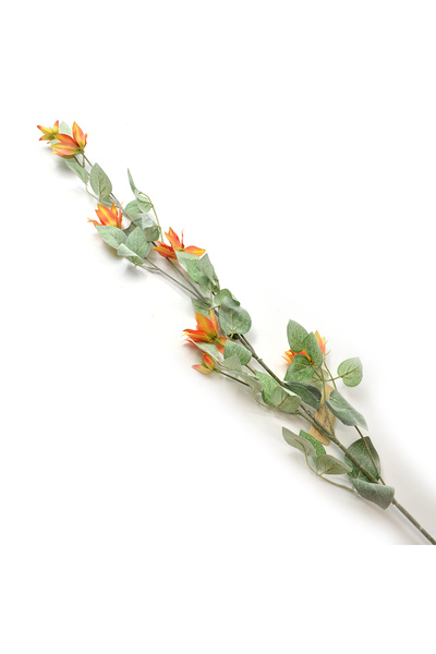 AFO Γιγάντιο πορτοκαλί κλαδί κλεμάτης