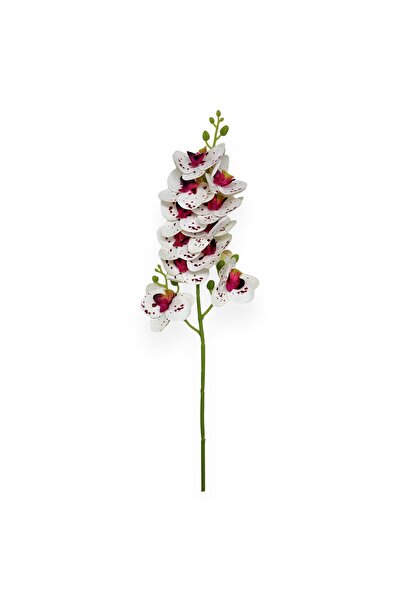 AFO Σιλικόνης ορχιδέα με σχέδια σε λευκό και γρανάτινο χρώμα (τύπου) Φαλαίνοψ...