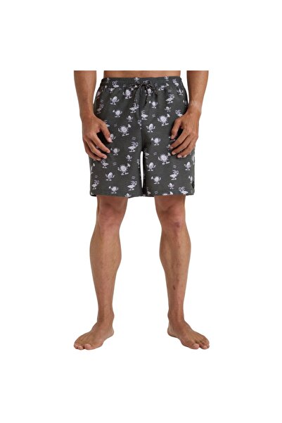 BİLLABONG Αδιάκριτοι Χρόνοι Χαλαρά Σορτς Παραλίας Ρέιβεν L