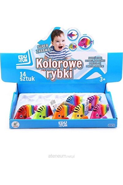 Artyk Pești colorați, Educație și Distracție