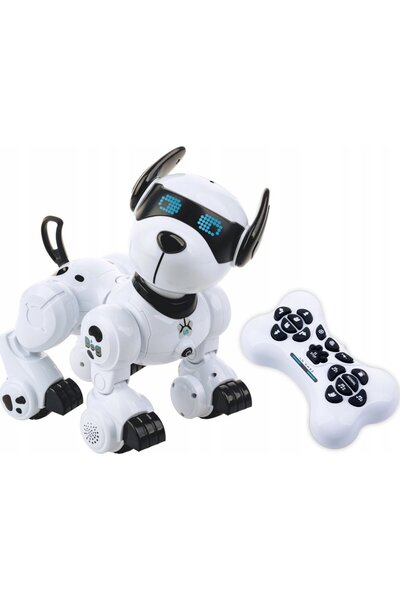 Dumel Robopii