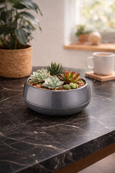 Alezy EAS2 Elvan Aranjman Saksı No:2 2 lt 23,3cm Antrasit