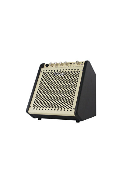 DK İB-25 Bas Gitar Amfisi 25W
