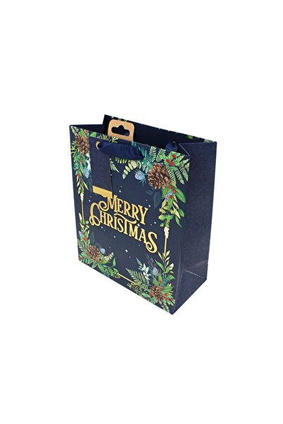 Eurowrap Χάρτινη τσάντα δώρου, συλλογή Clairefontaine από την Eurowrap, 25x21...