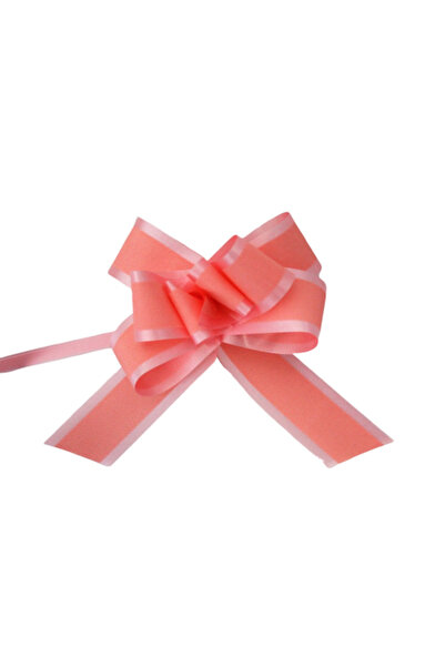 Gift Design Pastel Pink Self-Shaping Flower Bow