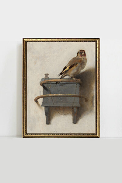 HOME DEKORİSTA Πίνακας πουλιών με vintage πλαίσιο ΧΩΡΙΣ ΓΥΑΛΙ, αφίσα, καλλιτε...