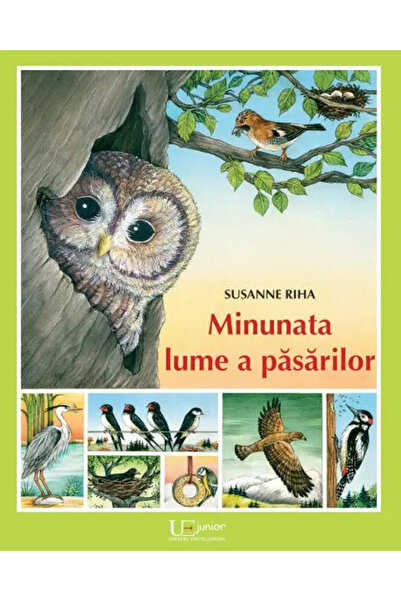 Univers Enciclopedic Junior Minunata lume a pasarilor