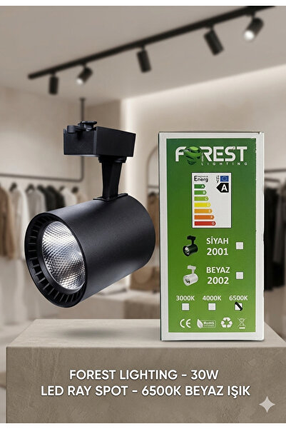 Forest Lighting 30W Led Ray Spot Armatür 6500K Beyaz Işık Siyah Kasa