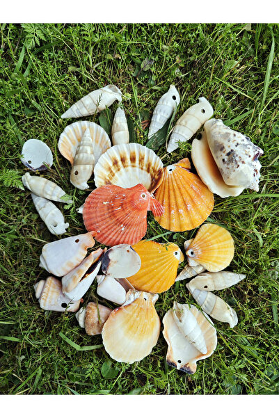 evinizdeki okyanus esintisi turkuaz hediyelik 250 GR DELİKLİ MIXED SHELLS