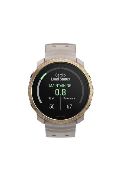 POLAR VANTAGE M3 GRY/GOLD