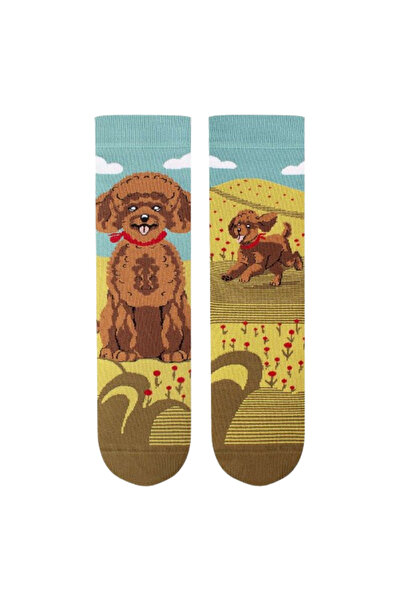 Pirin Hill Arty Socks Cotton Socks with Poodle