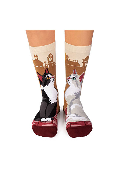 Pirin Hill Arty Socks Urban Cats Cotton Socks