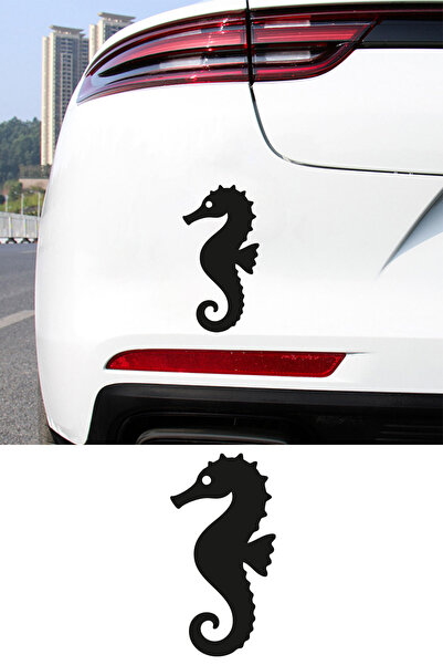 MIGNATIS Seahorse Figured Car Sticker - Minimal Seahorse Sticker – Aesthetic ...