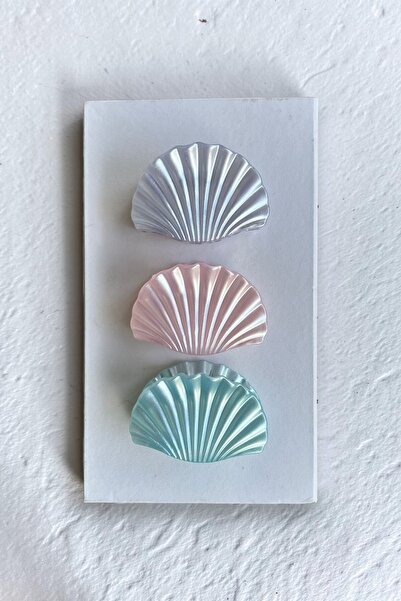 VERA HOUSE Pearlescent shiny 3-piece oyster model hair clip