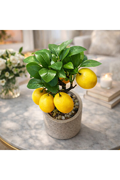 aymumi home Yapay Limon Ağacı Saksılı 26 cm Dekoratif Bitki – Gerçek Görünüml...