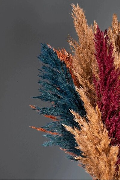 TROYA Sonbahar Renkli Şoklanmış 15'li Pampas Otu 100cm