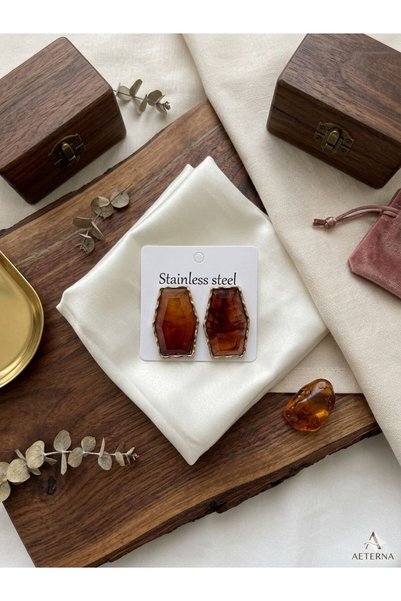 bag and shine Terra Modern Stone Detailed Premium Steel Earrings