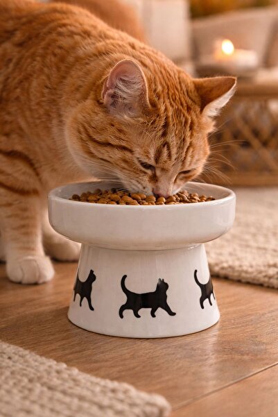 NitruDesign Ayaklı Seramik Kedi ve Köpek Mama Su Kabı (17 CM, 400 ML)