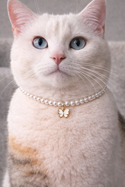 HALHALMILL Butterfly dangle pearl cat necklace