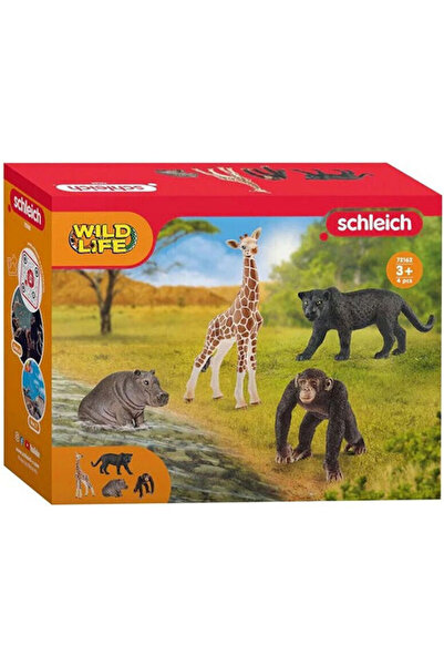 OEM Φιγούρες Ζώων Ζούγκλας Schleich Wild Life 4 τεμάχια 15x19εκ.