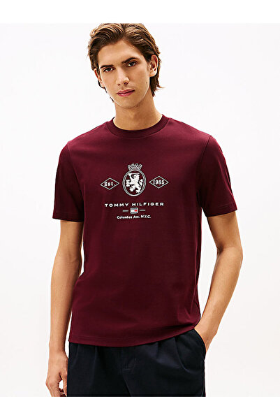 Tommy Hilfiger erkek diamond crest graphic t-shirt