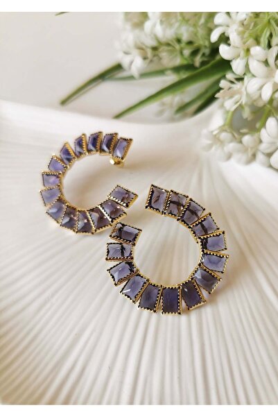 Halley Concept Purple Stone Gold Steel Hoop Earrings